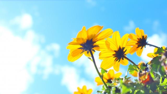 これって依存？　執着ですか？#10/10
