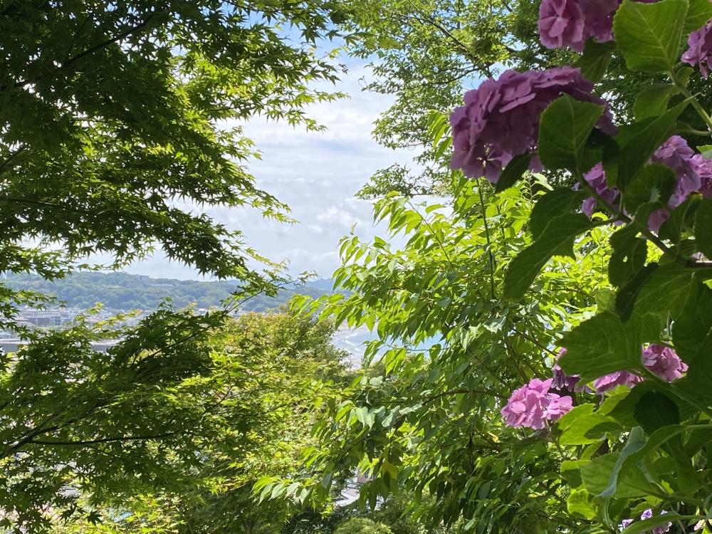 モヤモヤしやすい時期