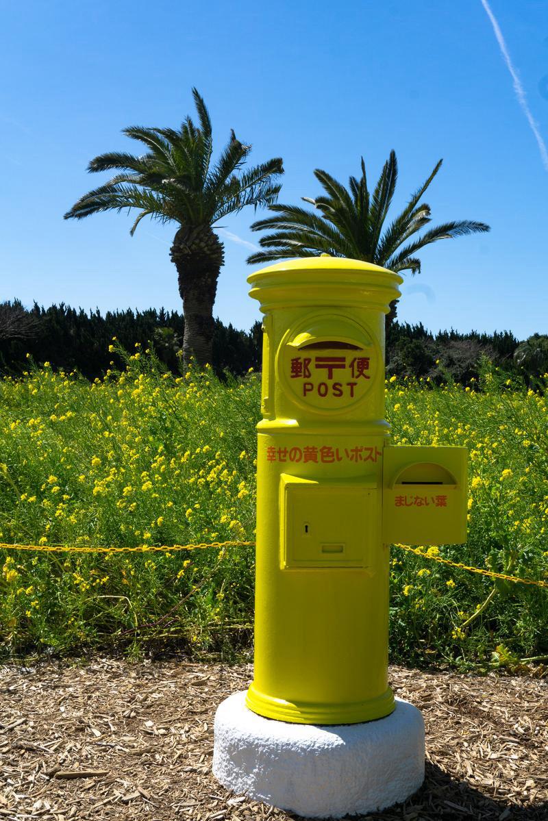  未来を口にできない理由