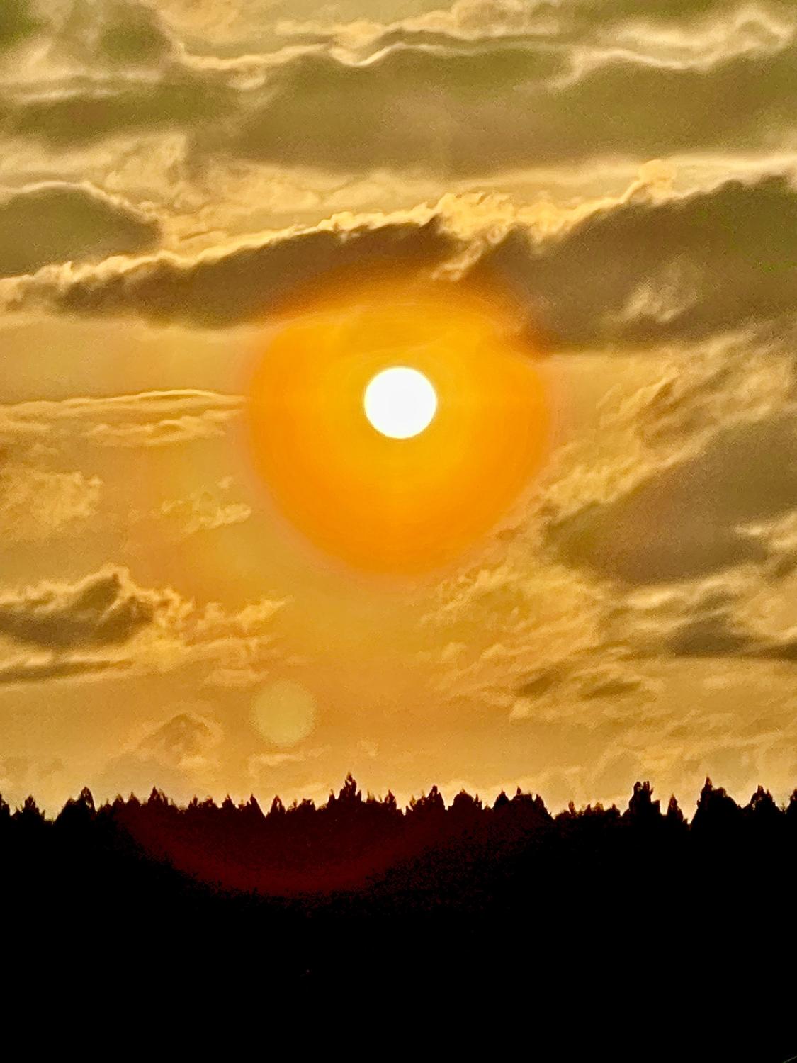 愛するべき人の見分けかた？！