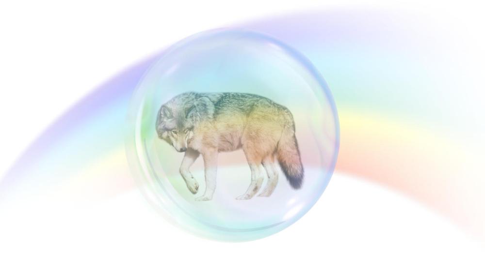 変わりたければ刺さるしかないんだ