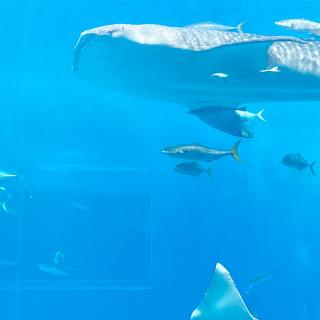 ネガティブはサクセスの途中経過