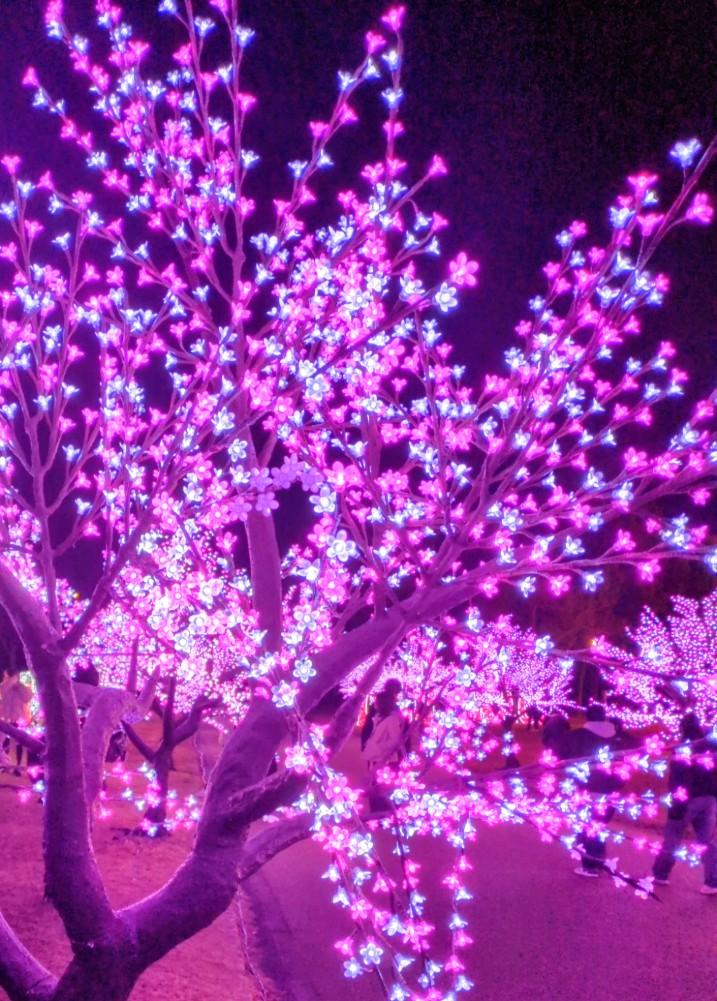 いつもありがとうございます