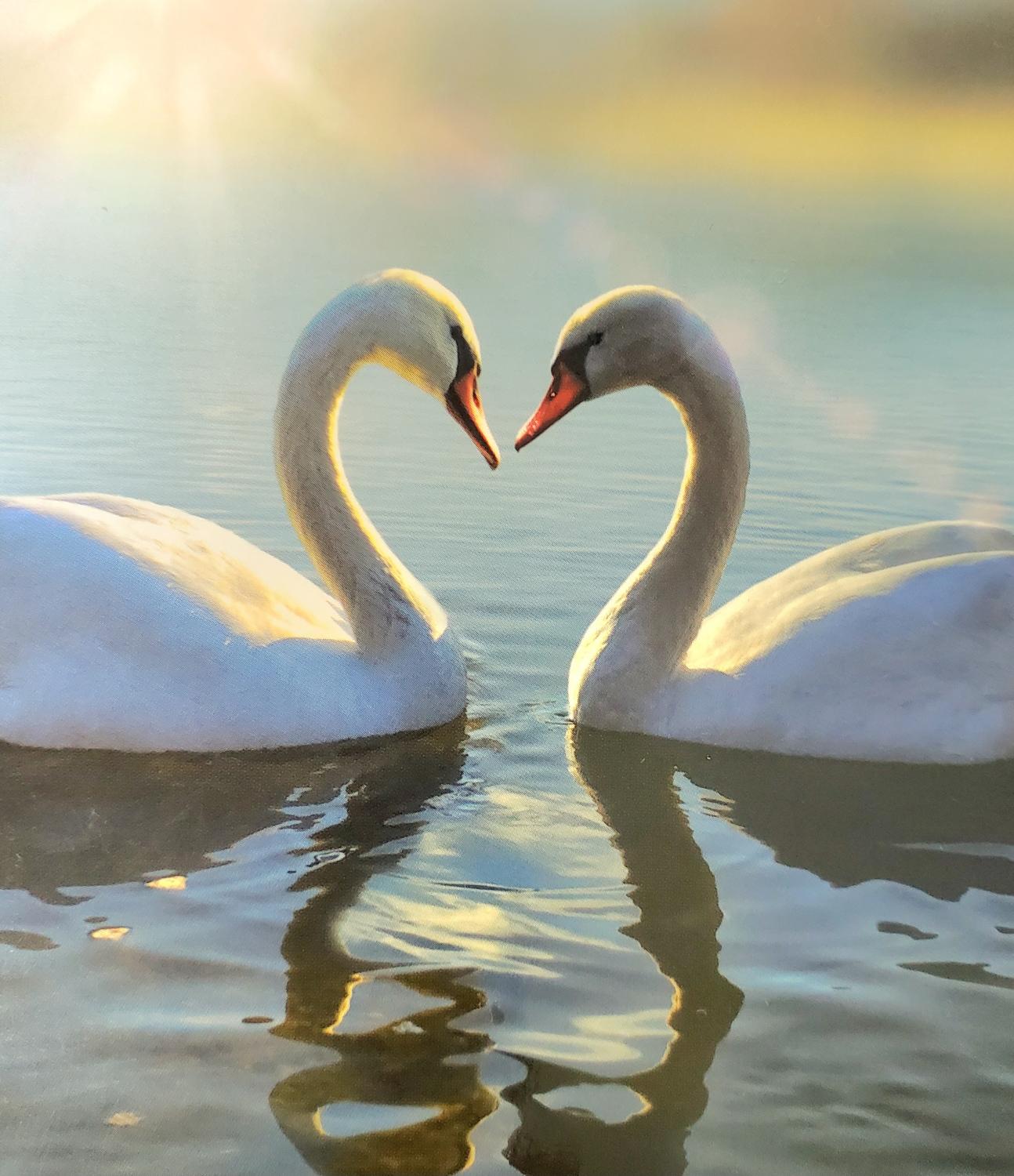 今日の彼(彼女）の気持ち