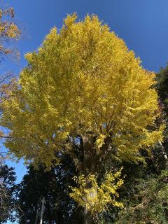 12月、まだ一ヶ月ありますよ。