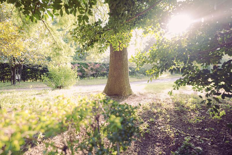 進むでき道に迷ったら・・