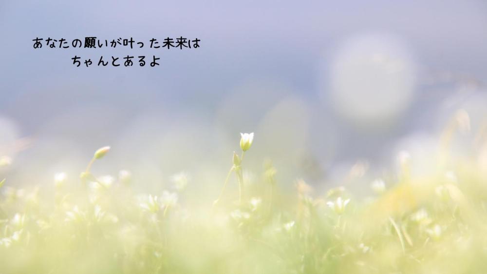 ４周年記念プレゼント　③