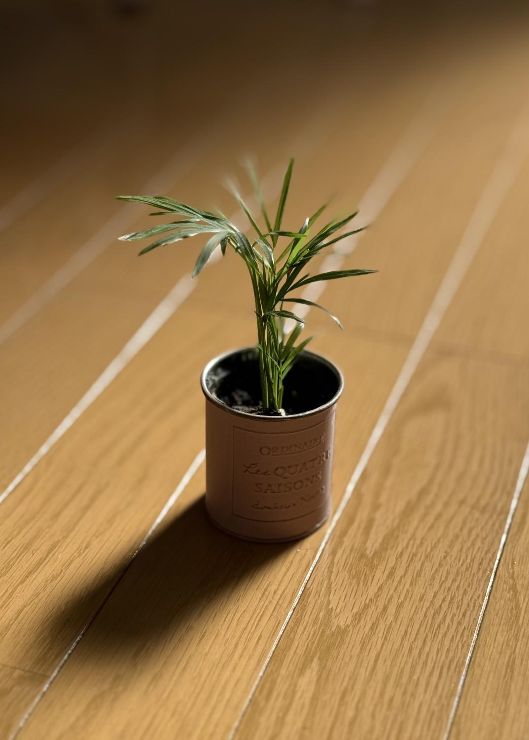 年末にしておきたいこと。