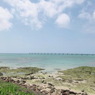 絡まった糸をほどく一粒万倍日と甲子の日