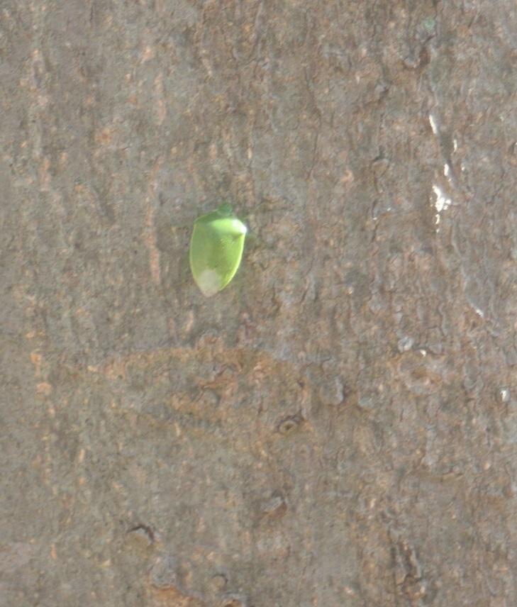 ３月５日　啓蟄