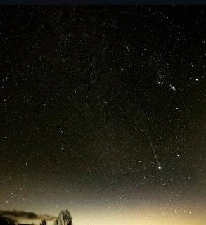 今回のライオンズゲートの負の作用