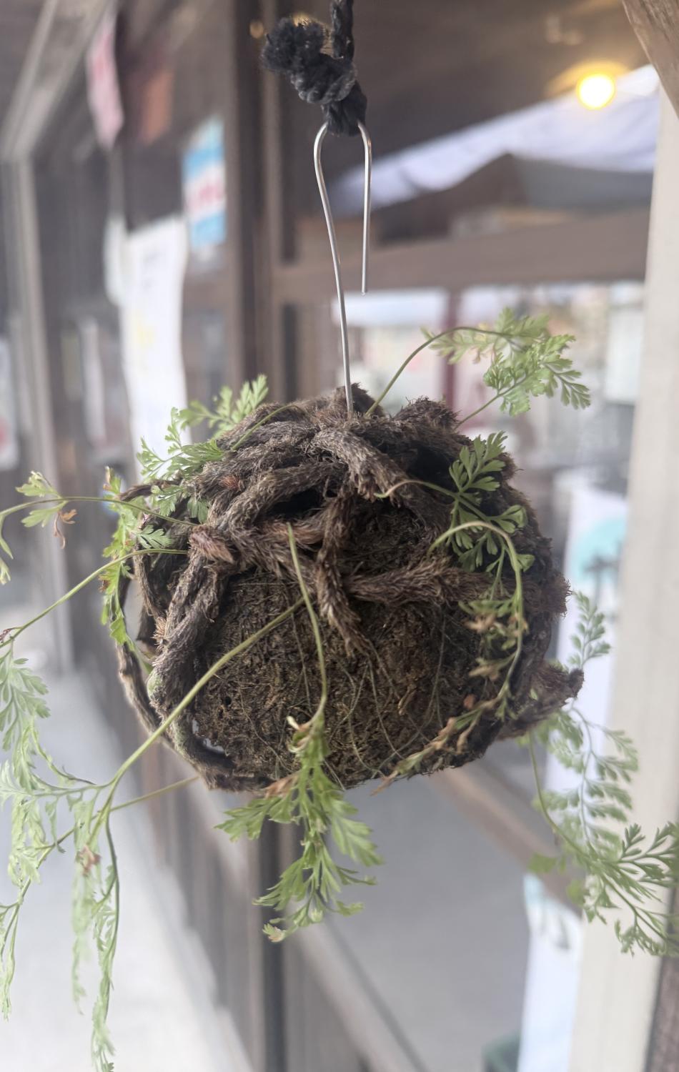 それでも世界は回ってる