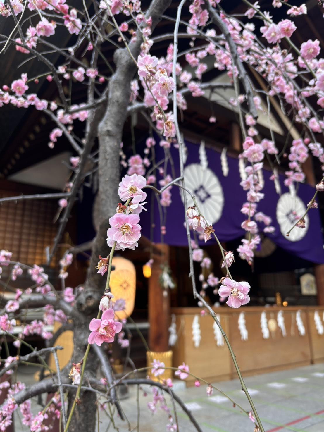 彼の言葉に不安になってしまうあなたへ