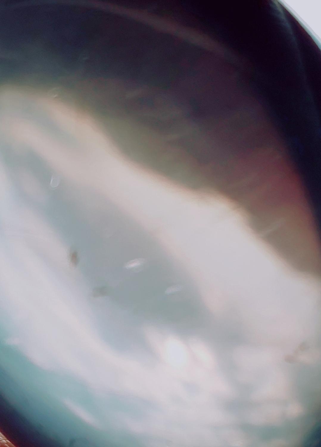 ☆身体と心の世界☆