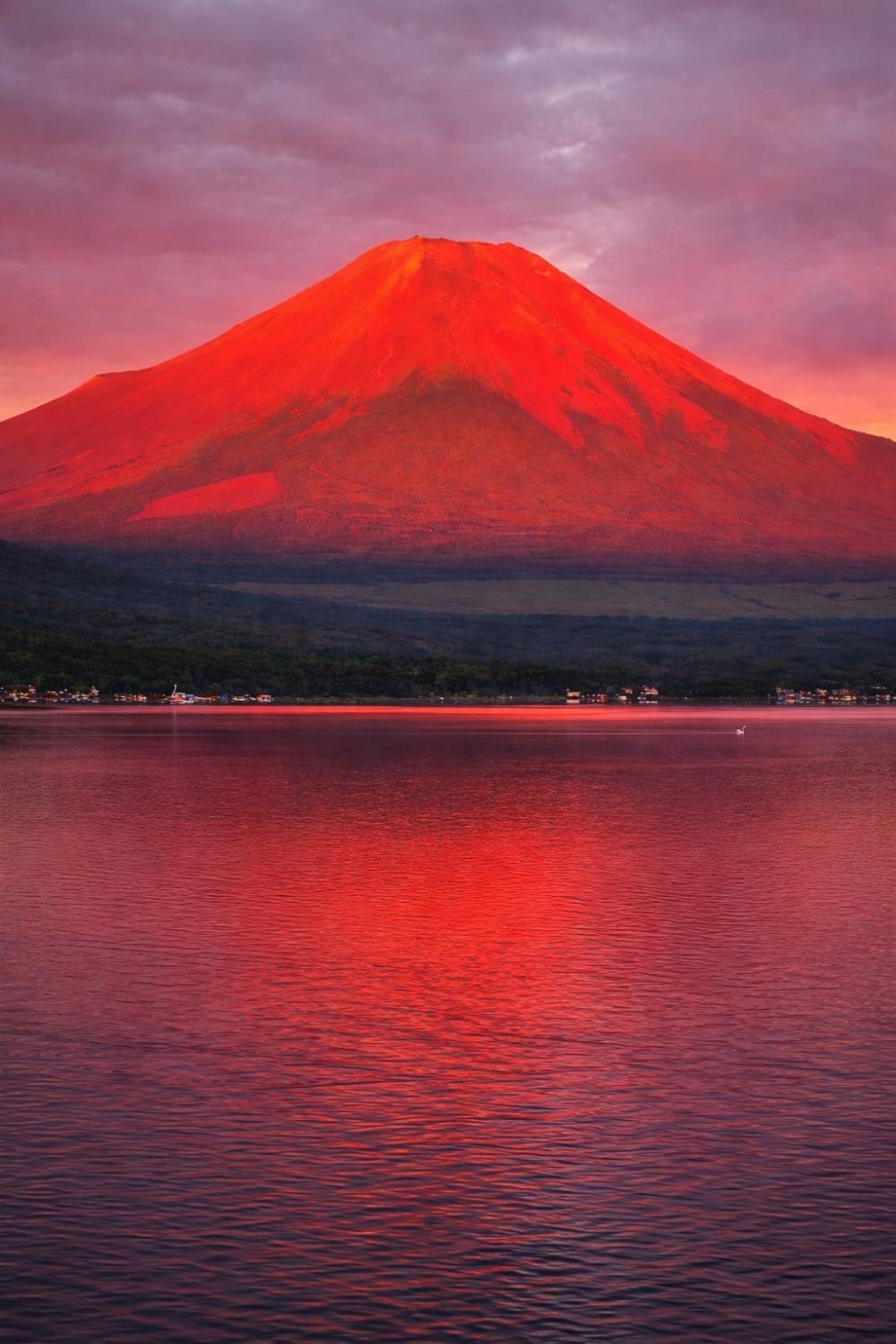 １月の過ごし方