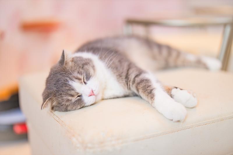 時間は命そのもの