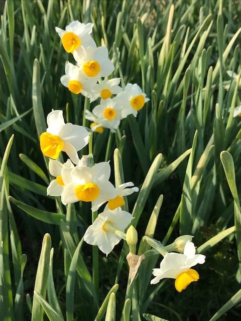 綺麗なものには毒がある