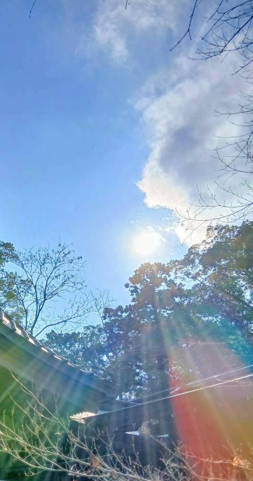 大宮姫命（おおみやめのみこと／大宮売神）