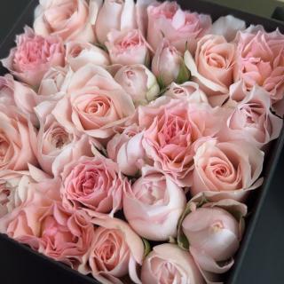 自分自身の幸せを願えていますか？