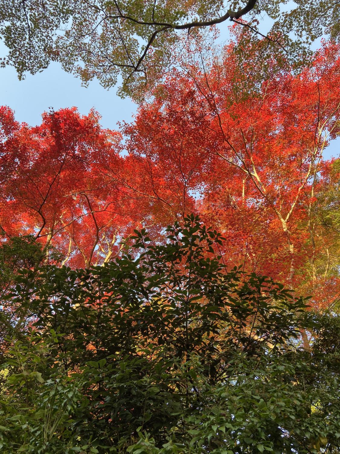 もうダメかもしれない？