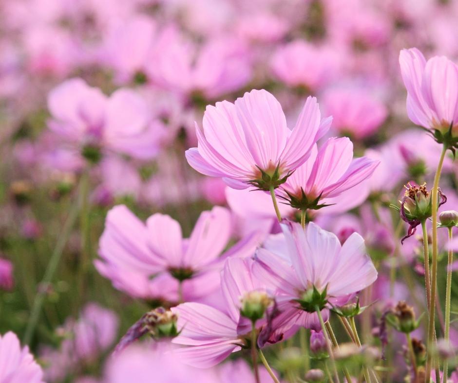 心の不安を和らげよう