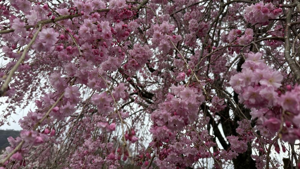 ちょっと苦しいなっていうとき