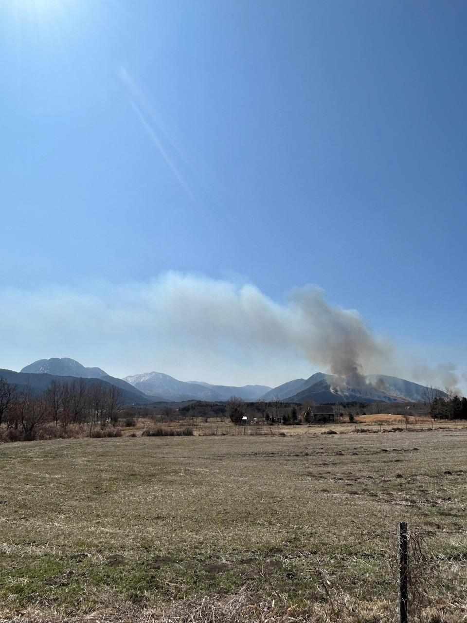 春の野焼き新しい芽吹き