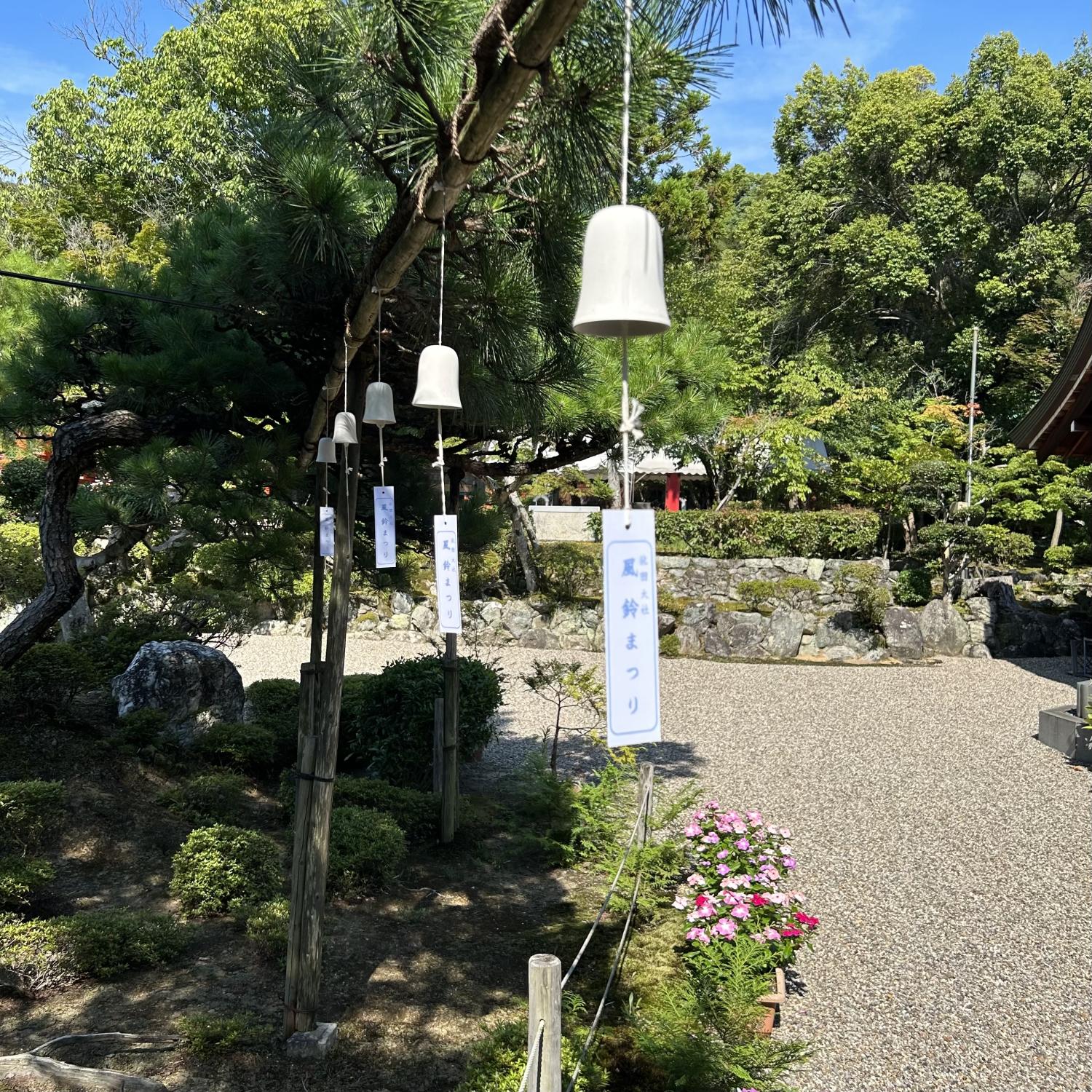 夏がやって来たぁ～