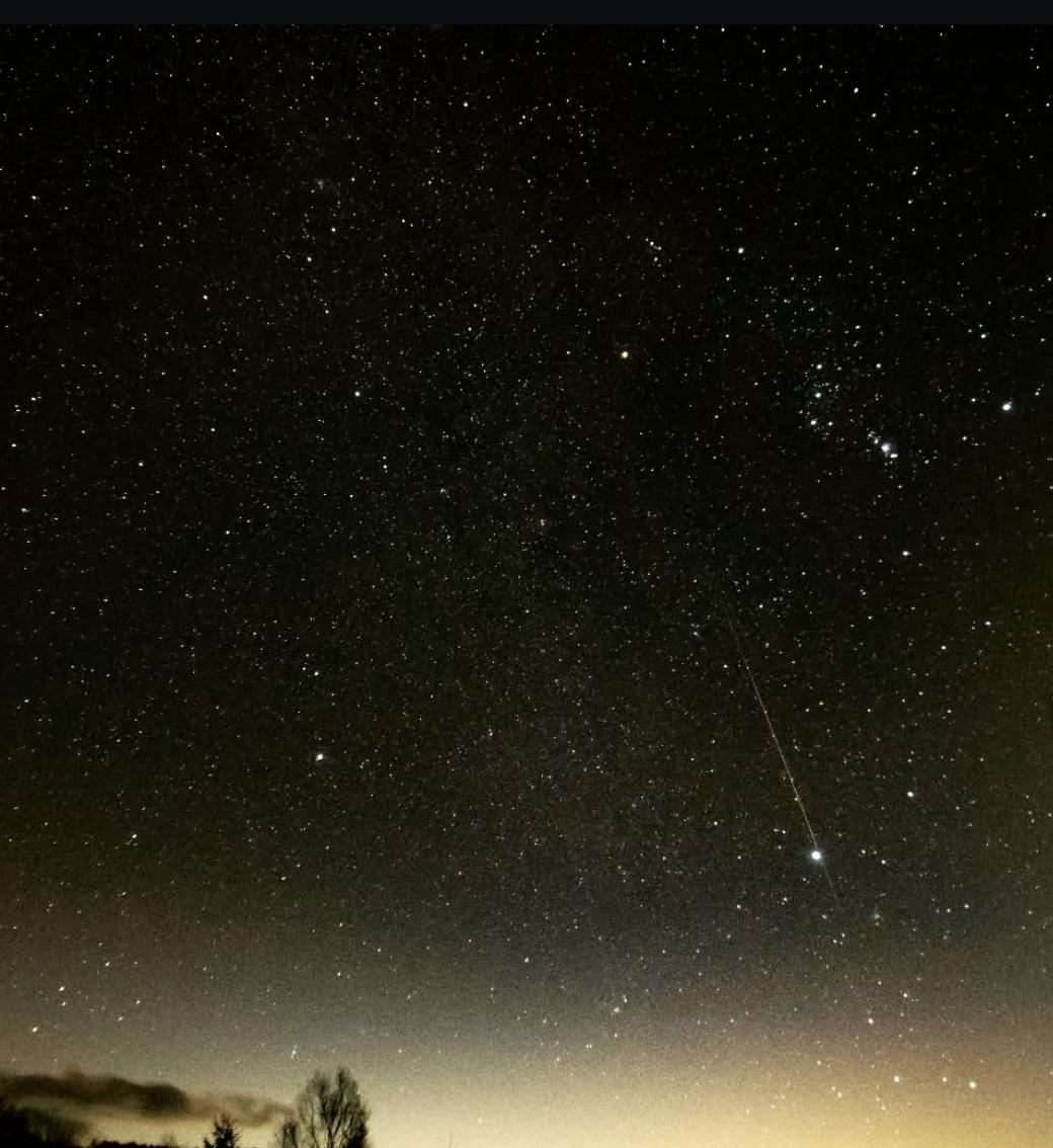 今回のライオンズゲートの負の作用