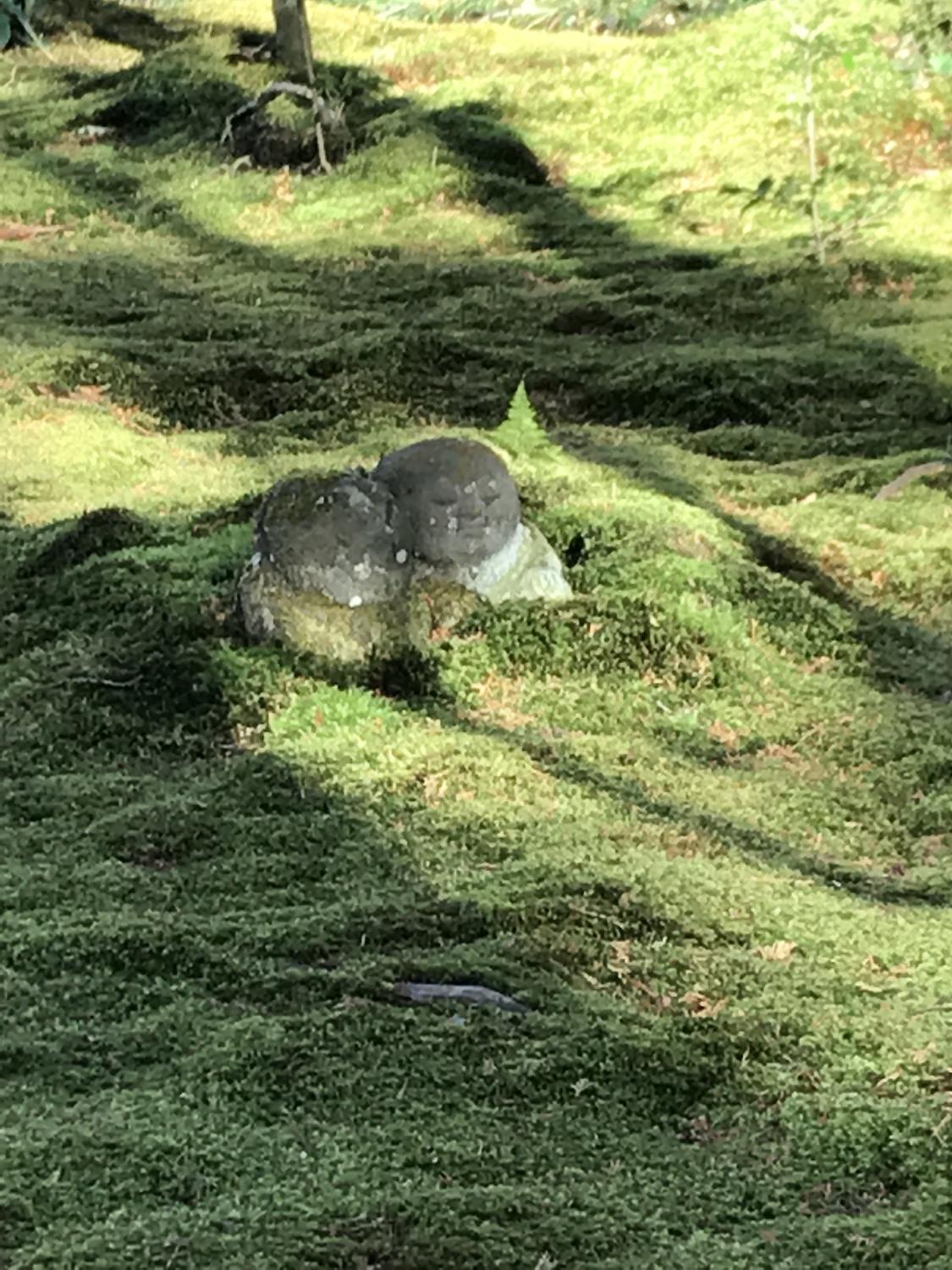 好きだから、雑に扱われてもいい？