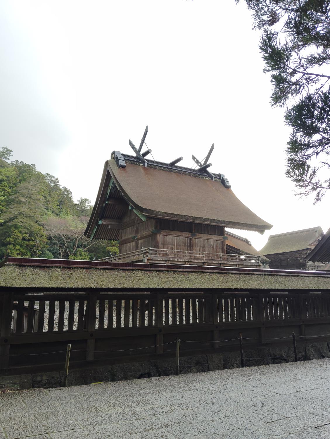 また出雲大社へ行ってきました