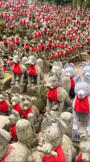 金運仕事運龍昇