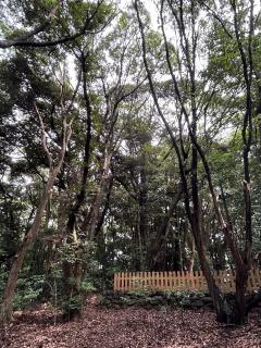 パワースポット