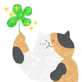 願いが叶う仕組み
