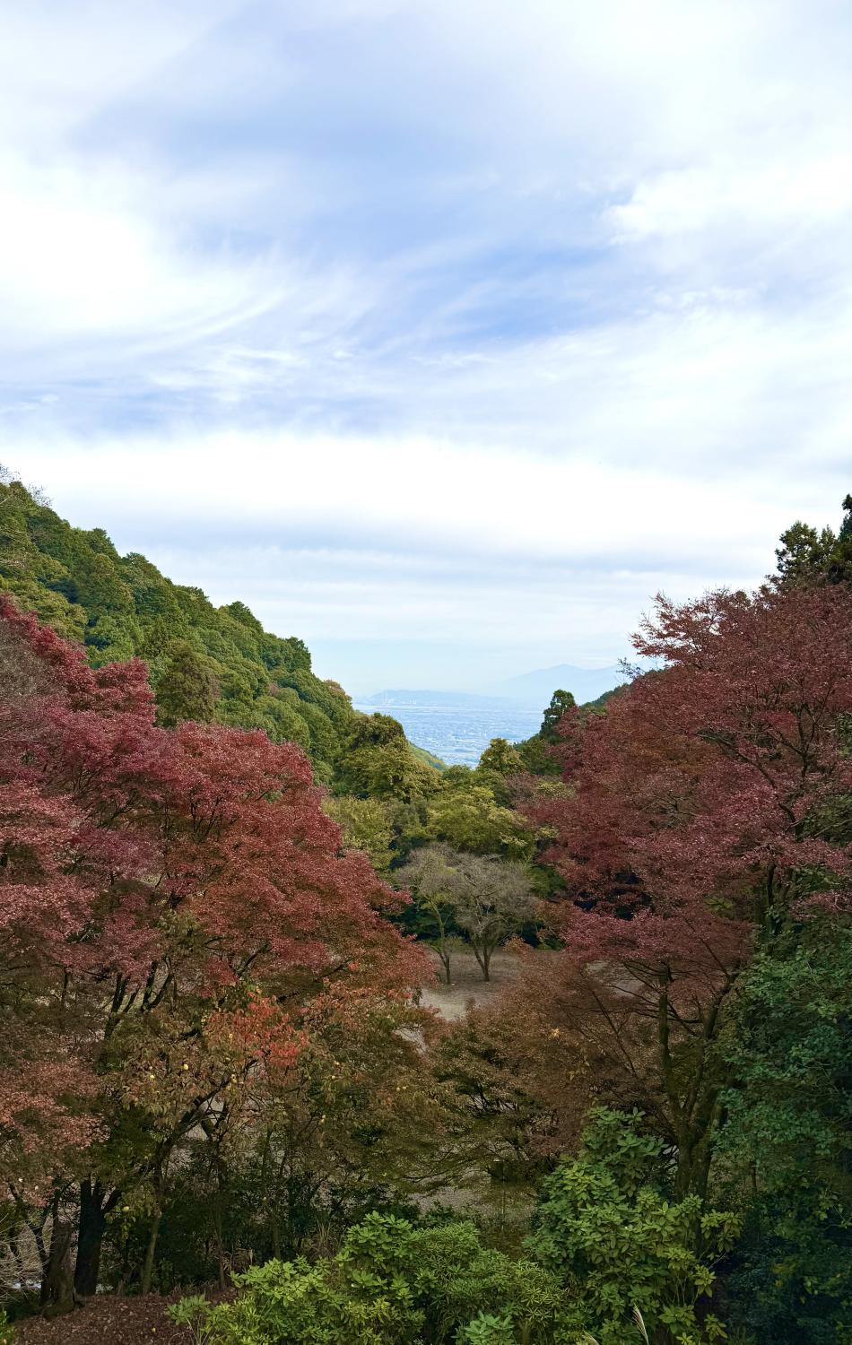 12月の過ごし方