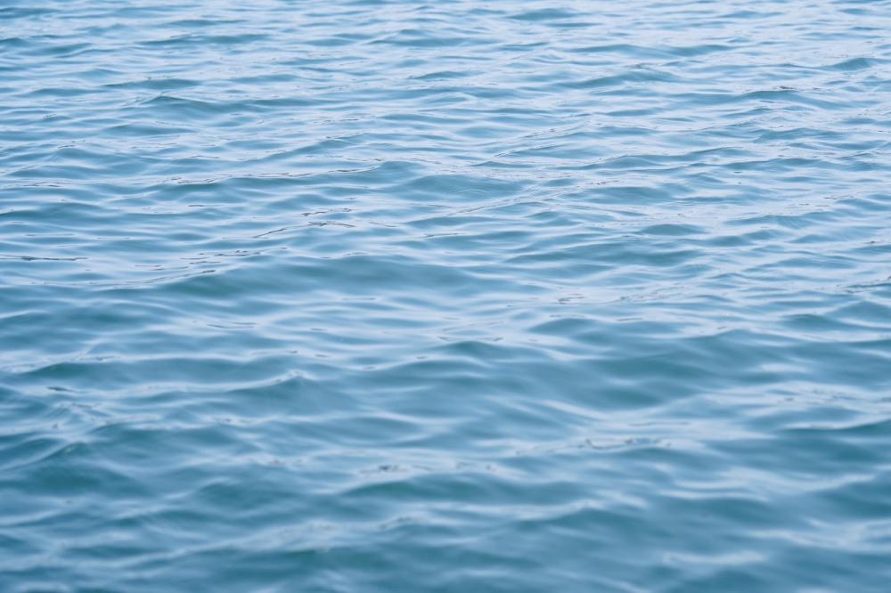 星と土用が重なる日の「静かなる浄化」