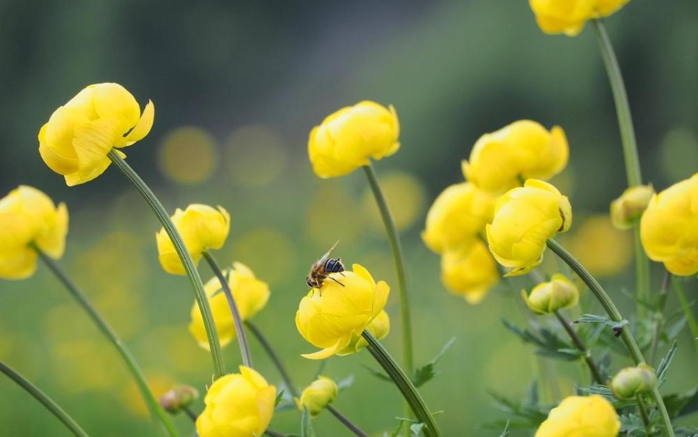 突然ブロックされたスピ的な意味とは？