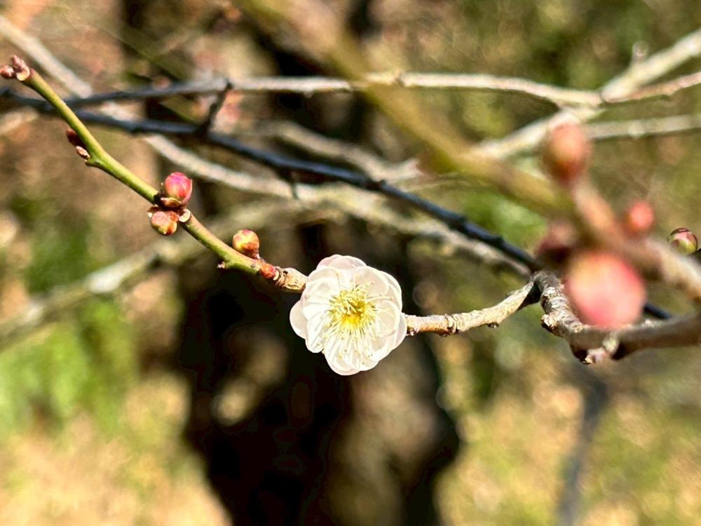 夜にモヤモヤしてしまう人へ