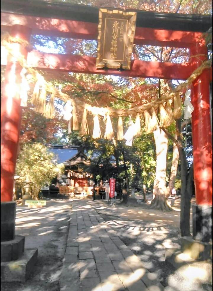 念願の氷川女體神社
