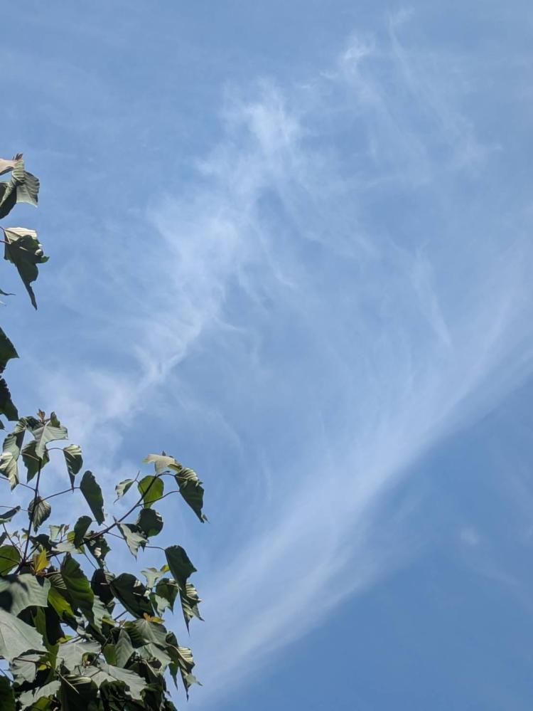 今週を輝かせるメッセージ