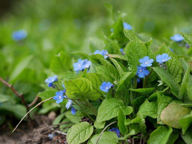 朝と夜では気持ちが全然違う日