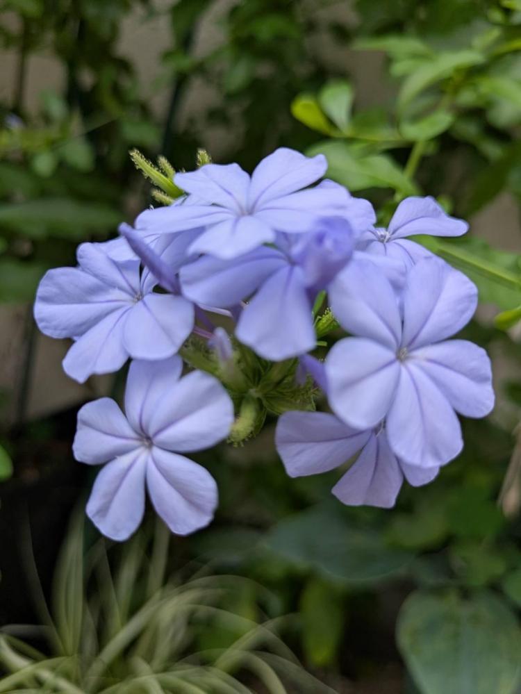 続 ・忘れられない人がいるあなたへ