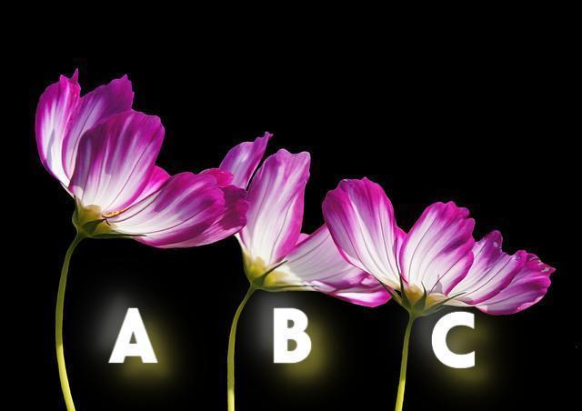 ☆彡 三択・今日のミニメッセージ  ☆彡