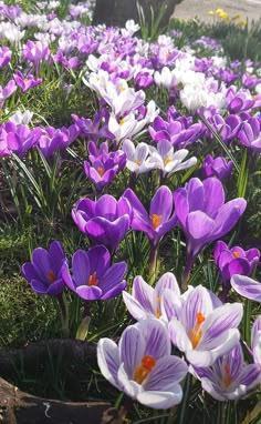 忘れられない人がいるあなたへ   