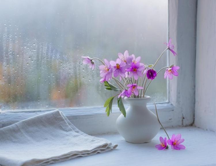 届いていた声（第二話／全九話）