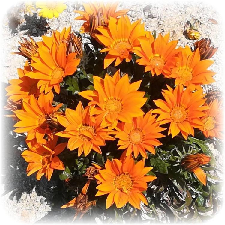 存在感をゼロにする