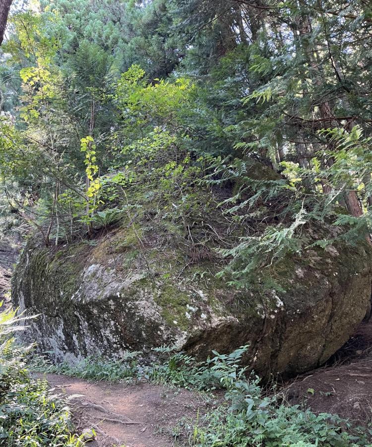 諏訪大社の参拝は小袋石から