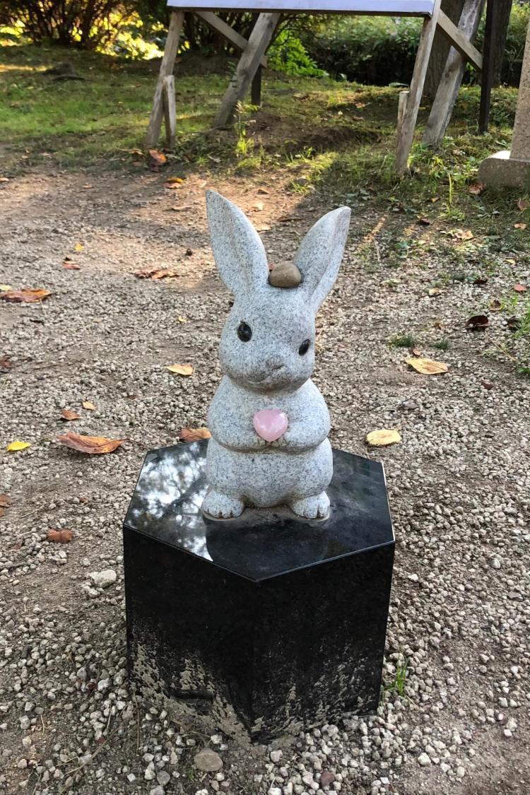 運命のマッチング(congratulation)