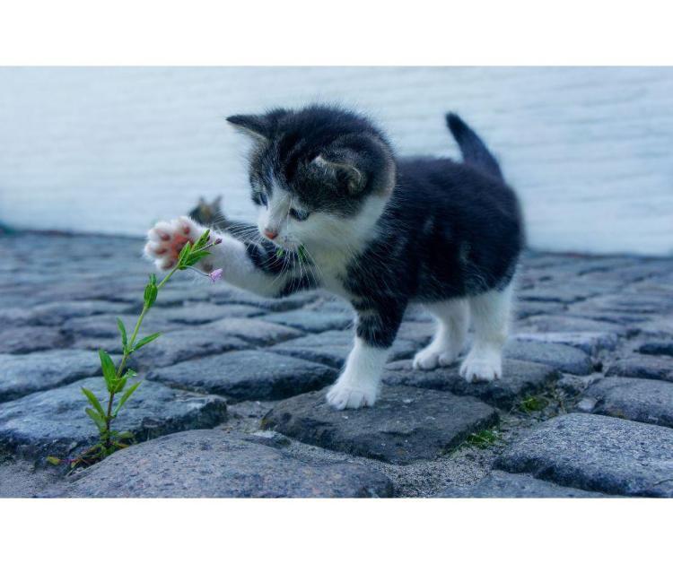 人間って難しい…