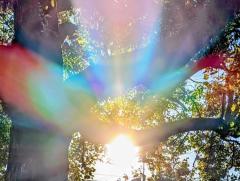 エネルギー補充にどうぞ☆